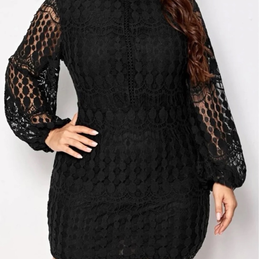 Sleeved high neck lace dress